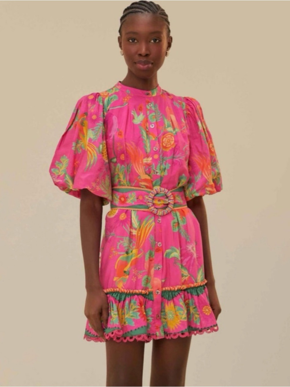 EUC FARM RIO Pink Delicate Fruit Garden Mini Dress with Belt - Size Small - Picture 6 of 6